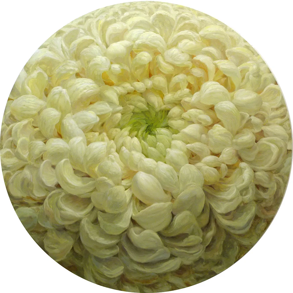 Chrysanthemum
