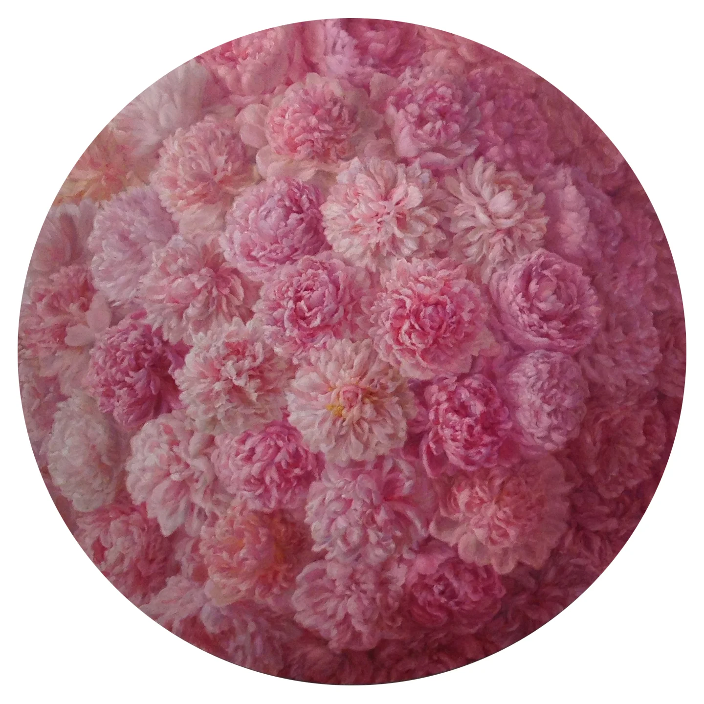 Peonies