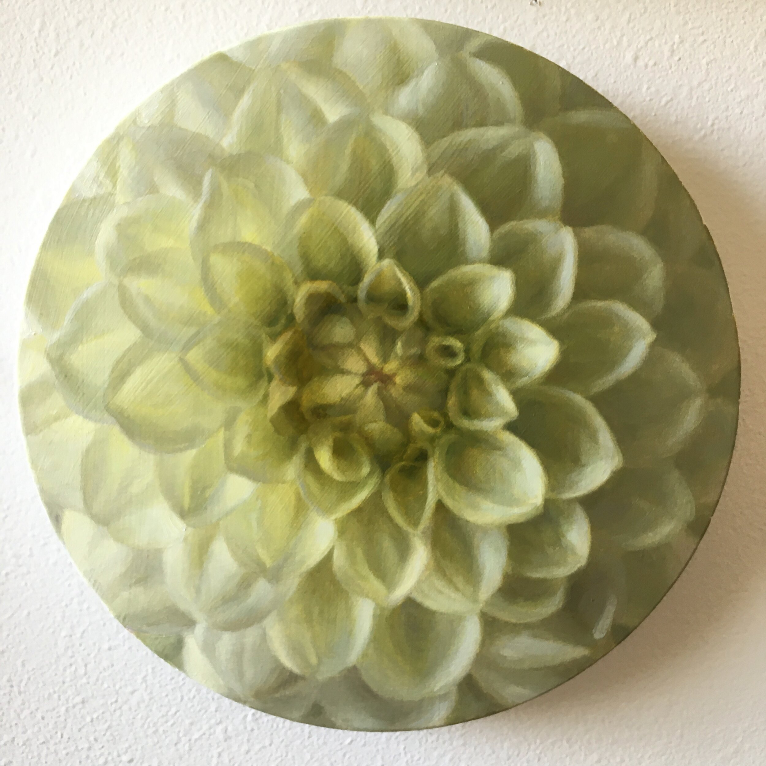 Dahlia