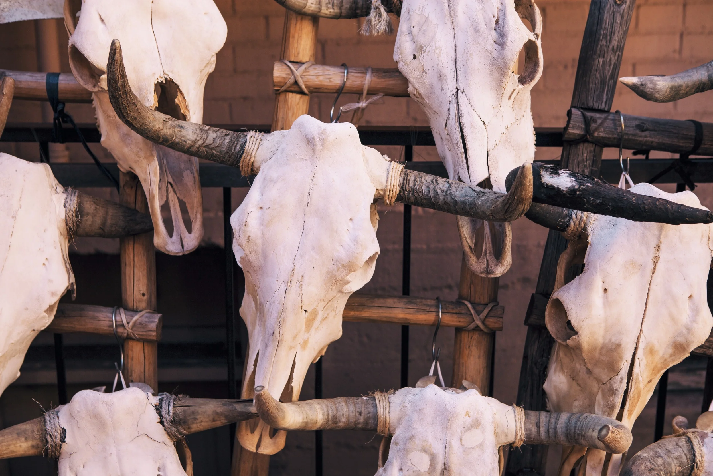 Wanderful City Guide: Santa Fe, New Mexico — Oui, We