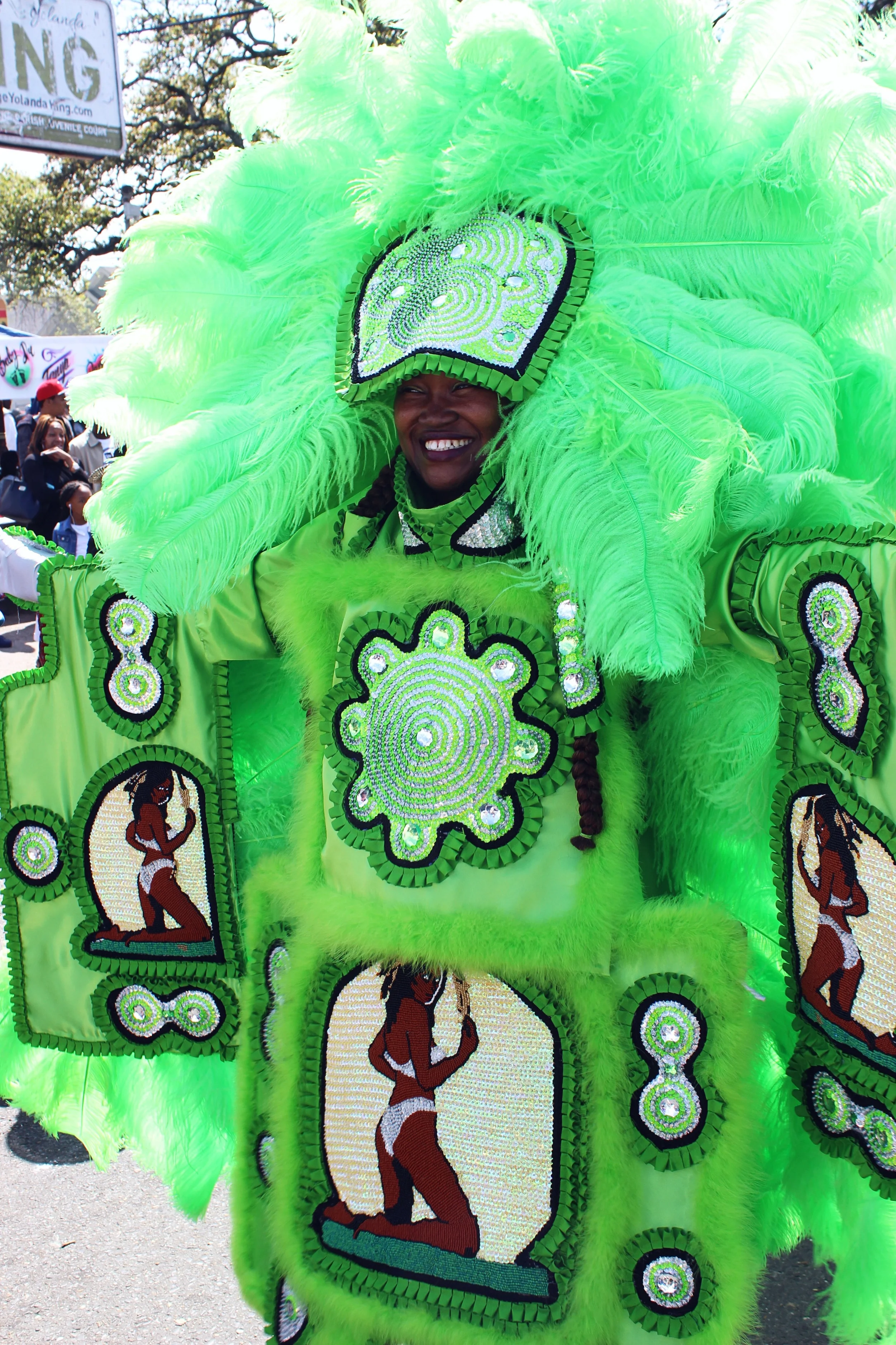 Traditional Mardi Gras Indian Costume, from Super Sunday.