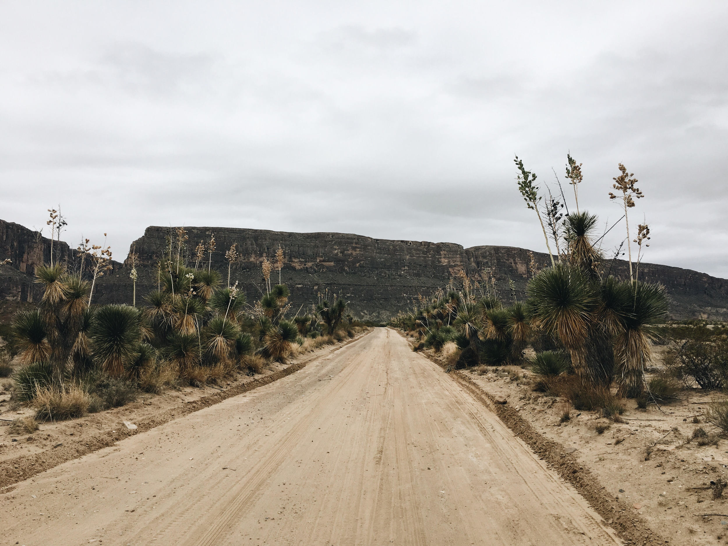 Driving along the Terlingua Creek bandlands descending into the Rio Grande and Santa Elena Canyon. There's a deep magic out in this wilderness.