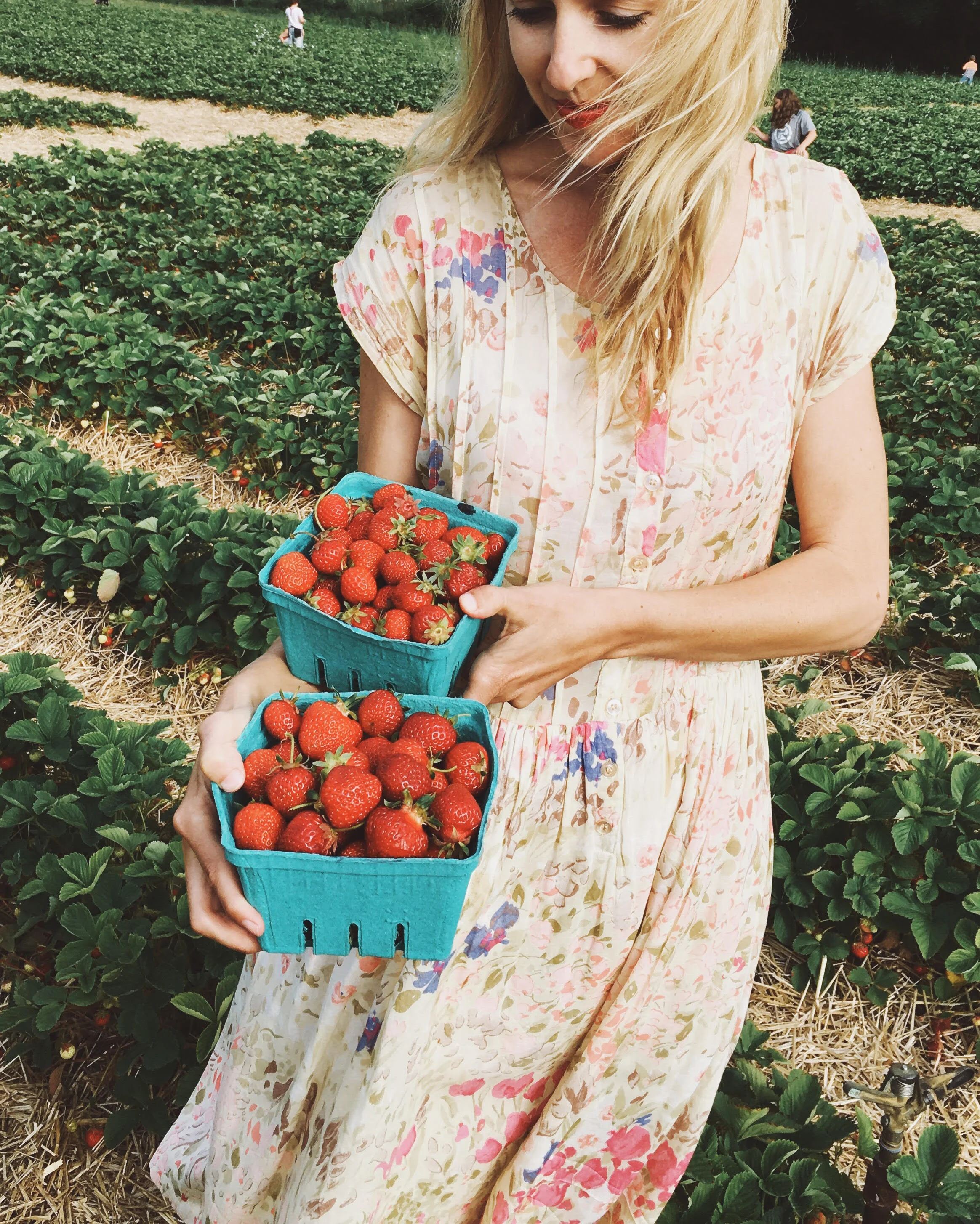 My friend Keiko and I traveled through Maine by car earlier this year. We stopped to pick strawberries which made for a lovely little treat once we finally arrived at our destination.