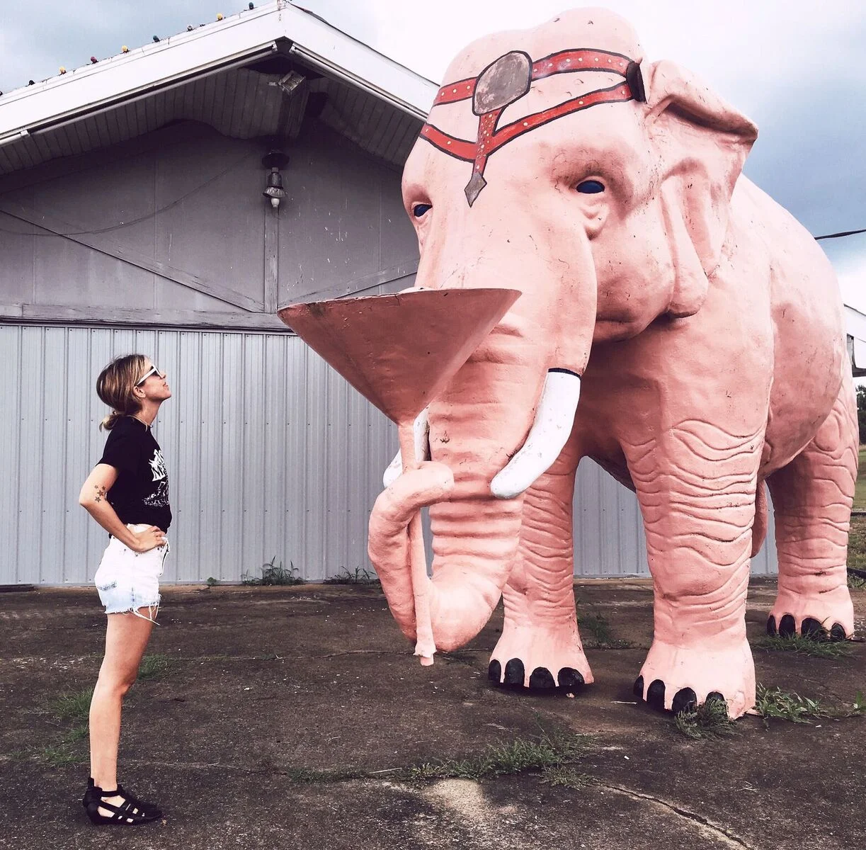 Antique hunting in Nashville