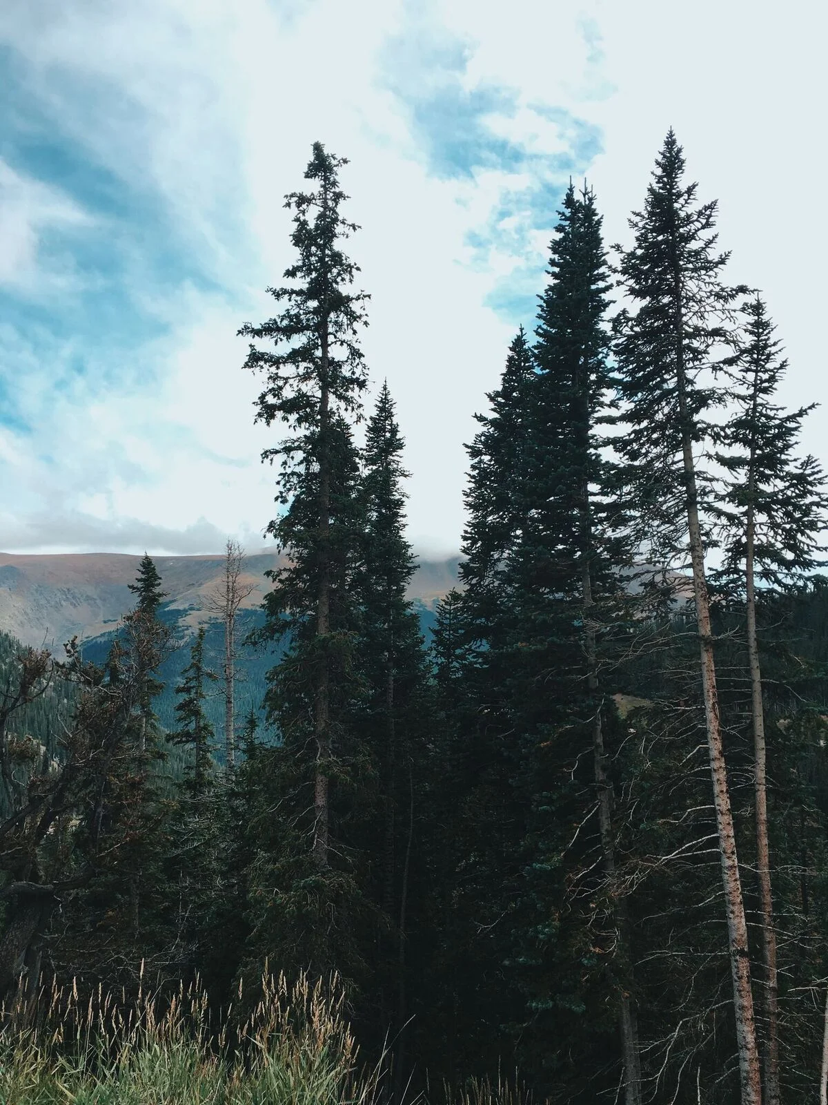 Rocky Mountain National Park