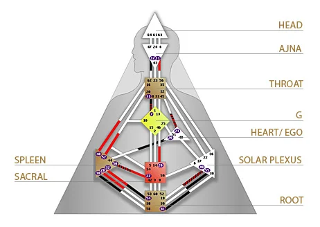 centers_of_human_design.jpg