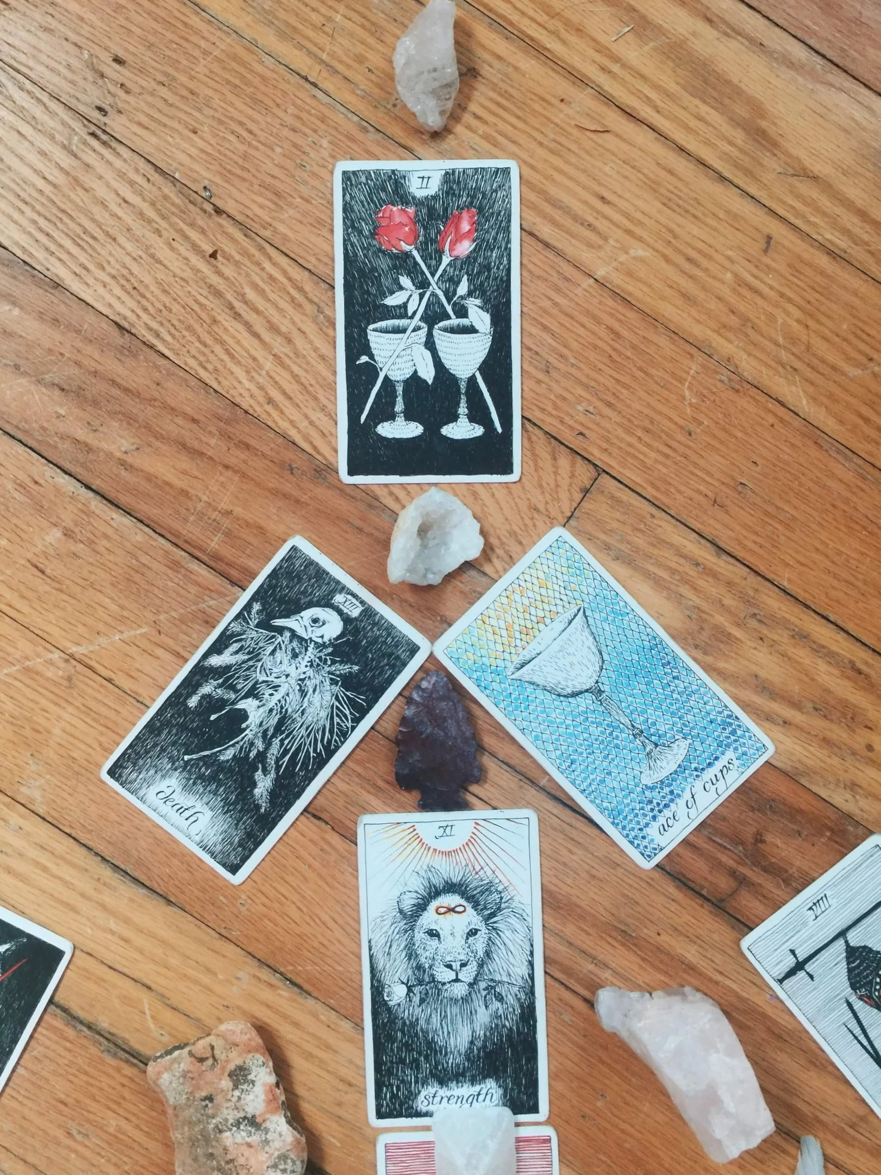 Wild Unknown Tarot Deck