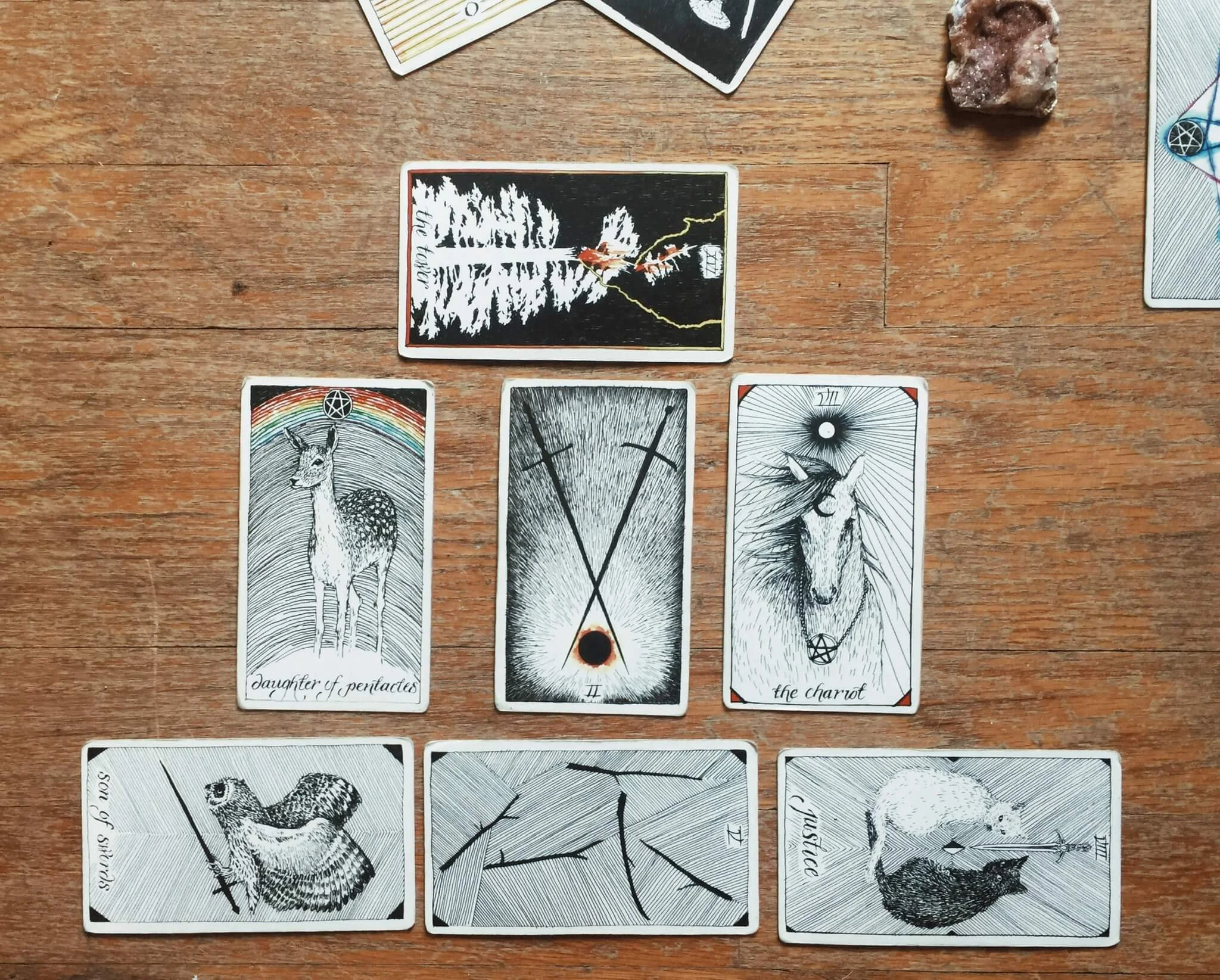 wild unknown tarot deck