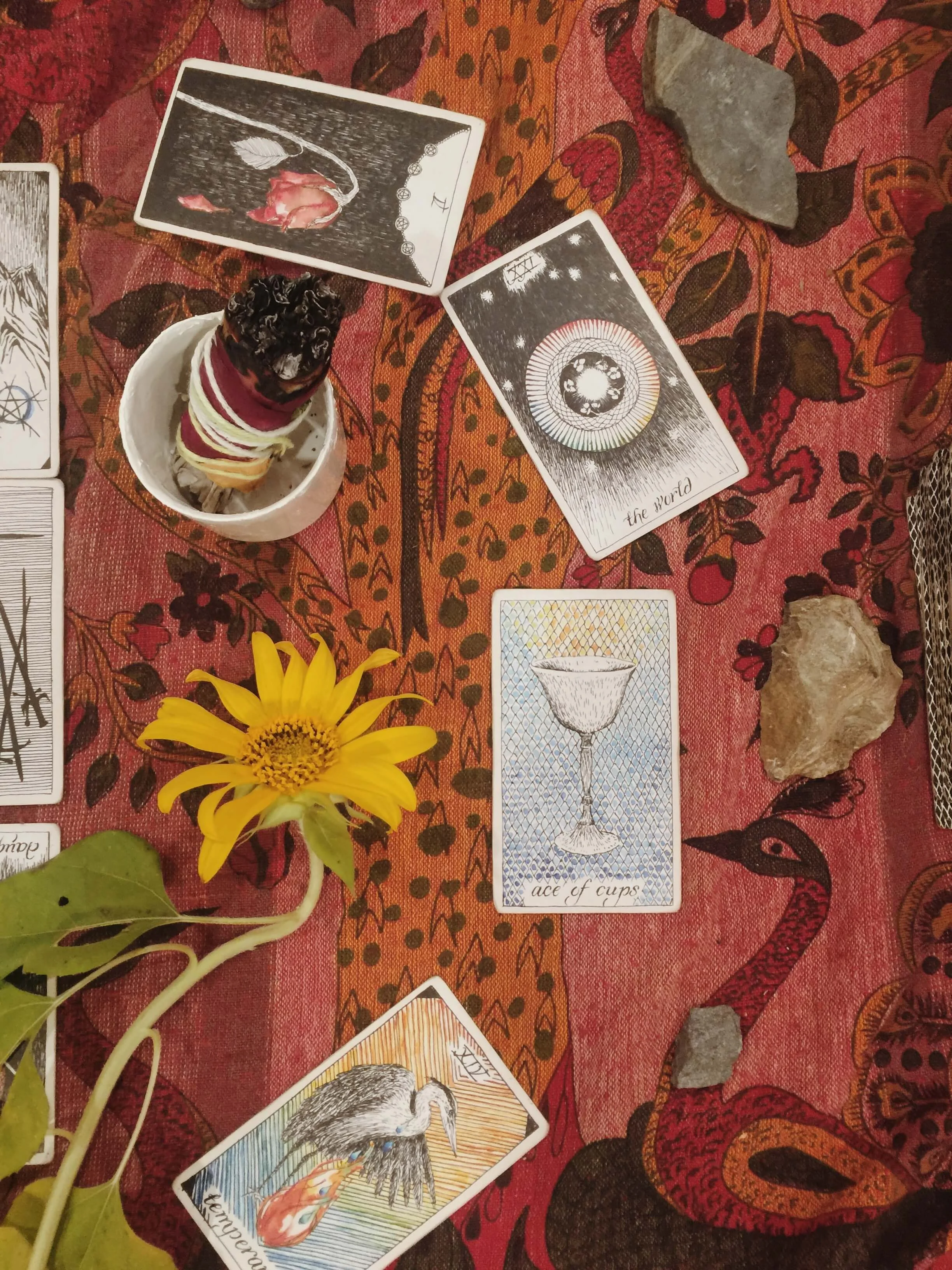 Tarot: Ace of Cups — Oui We