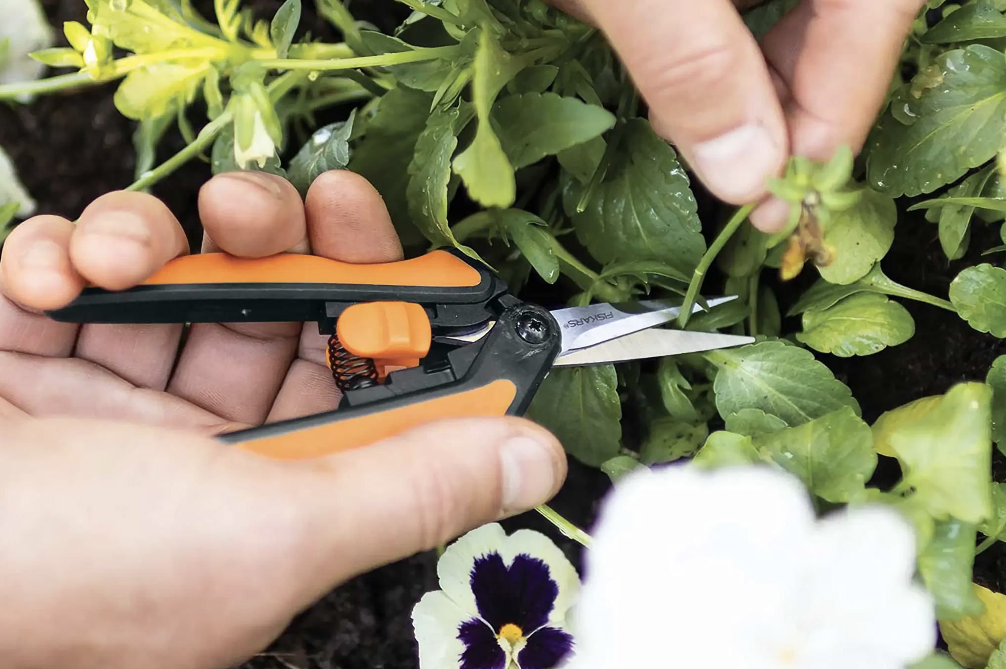 Fiskars Micro-Tip Pruning Snips 
