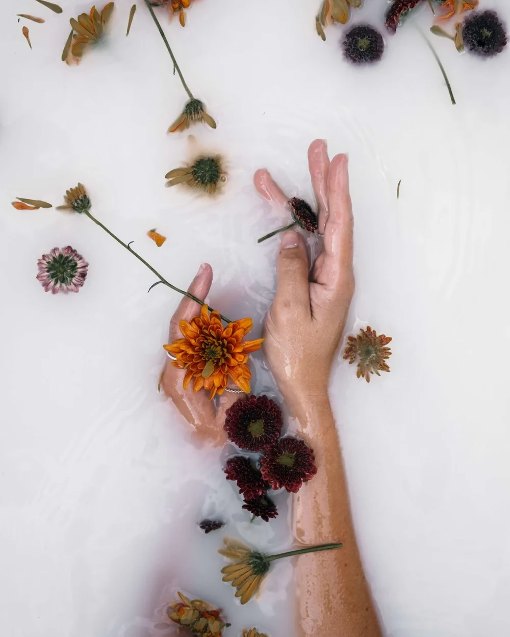 Samhain 2023 A Deep Dive into Rituals, Meaning, Traditions, and How to Pronounce Samhain — Oui, We