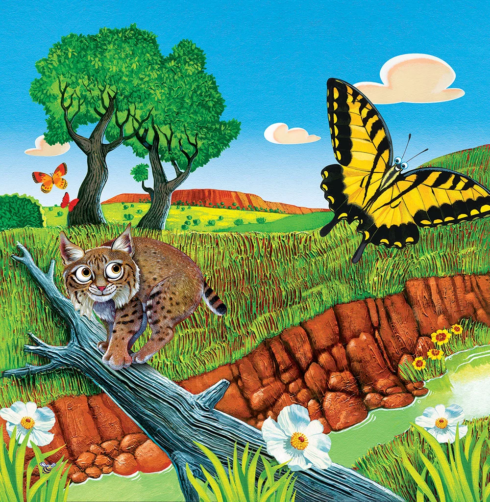 Animals of North Texas - Bobcat