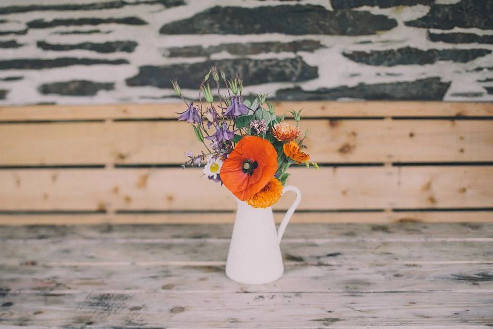FFOREST WEDDING PHOTOGRAPY_WALES_LUCIUS FOX-10.jpg