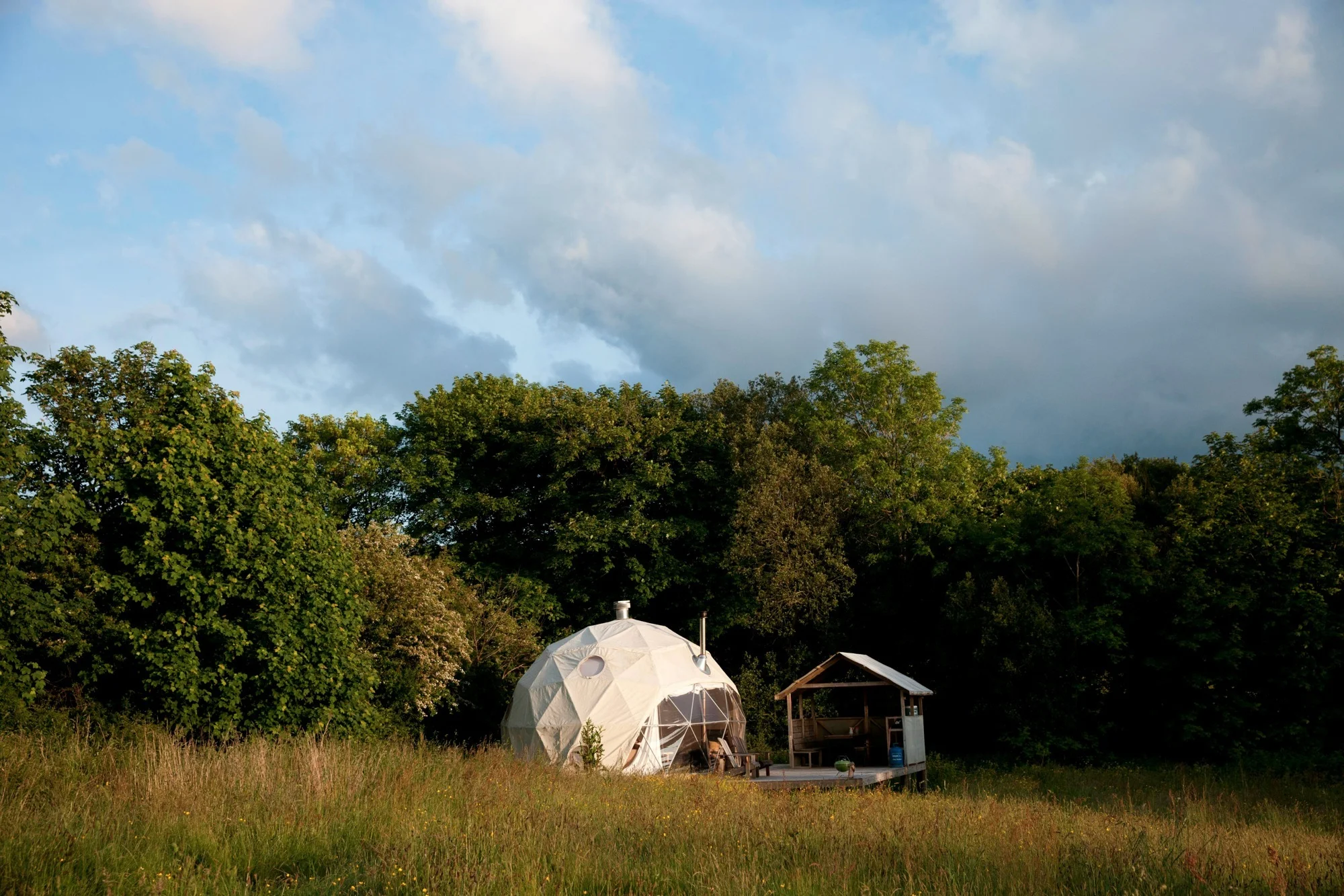 fforest manorafon_30.jpg