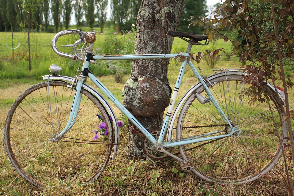 Ahuntsic et Laval-des-Rapides, deux quartiers de mon enfance où j'aimais partir à vélo pour longer la rivière, croiser des fermes, voir de magnifiques arbres et me sentir en paix! 