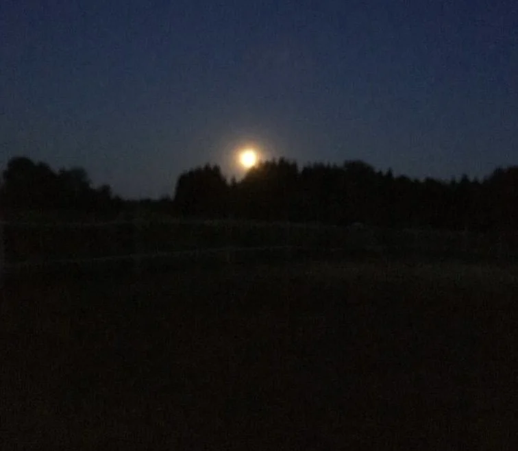 Séance de crépuscule, Shinrin Yoku à Dunham, Ferme Equi-Nature, QC      