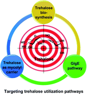 New Article on Trehalose Utilization Pathways Published