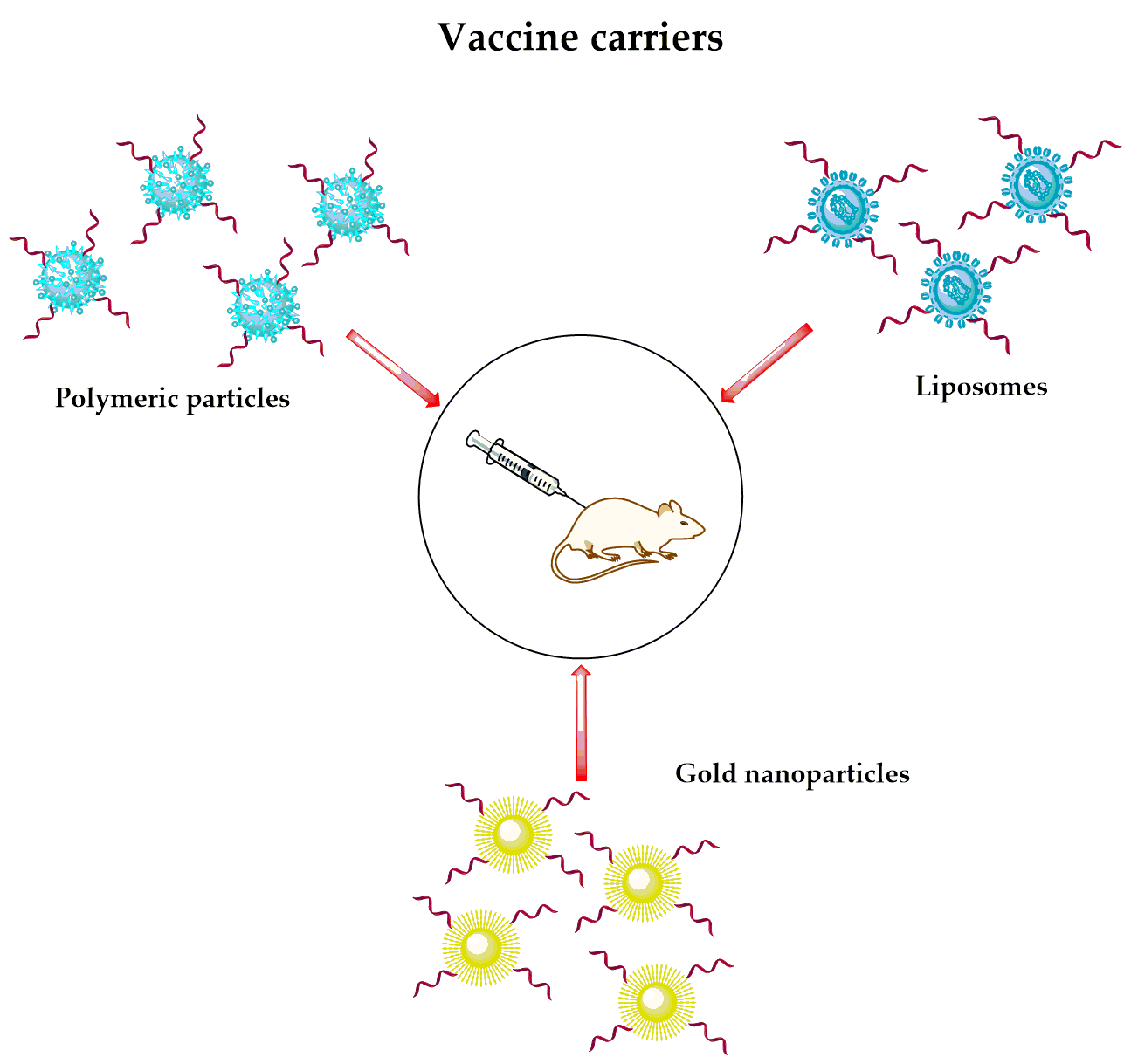 New Article Published in Vaccines