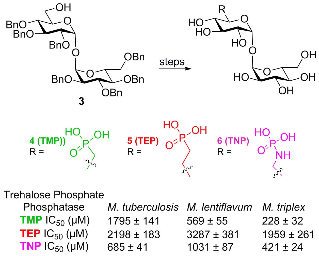 Joint publication on inhibitors of mycobacterial trehalose 6‐phosphate phosphatases