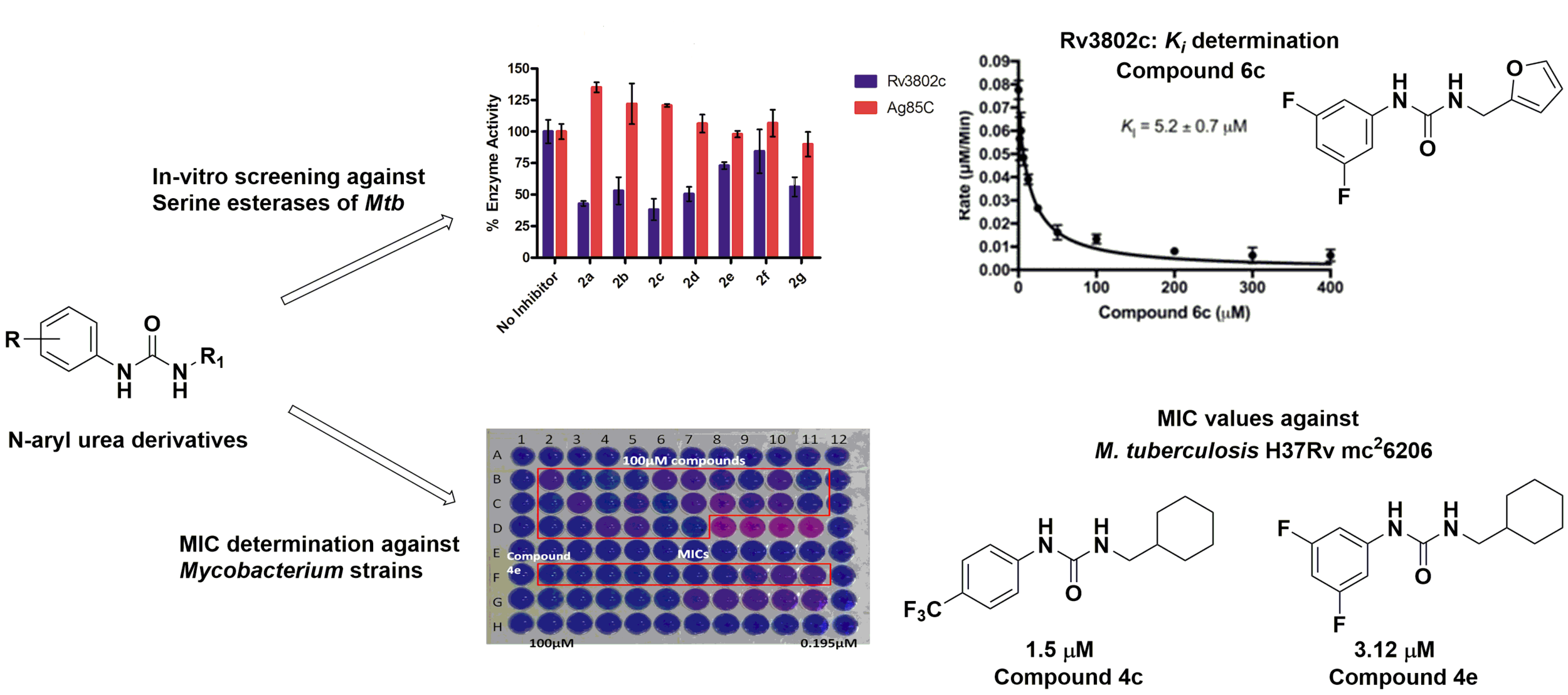 New Paper Published on Anti-tuberculosis Compounds in MedChemComm