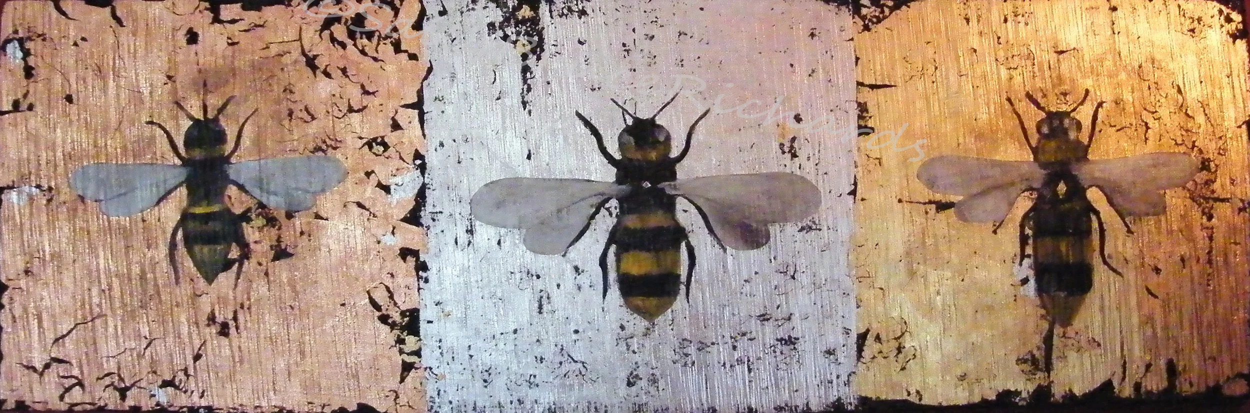 The Bees by Sally Bruce Richards