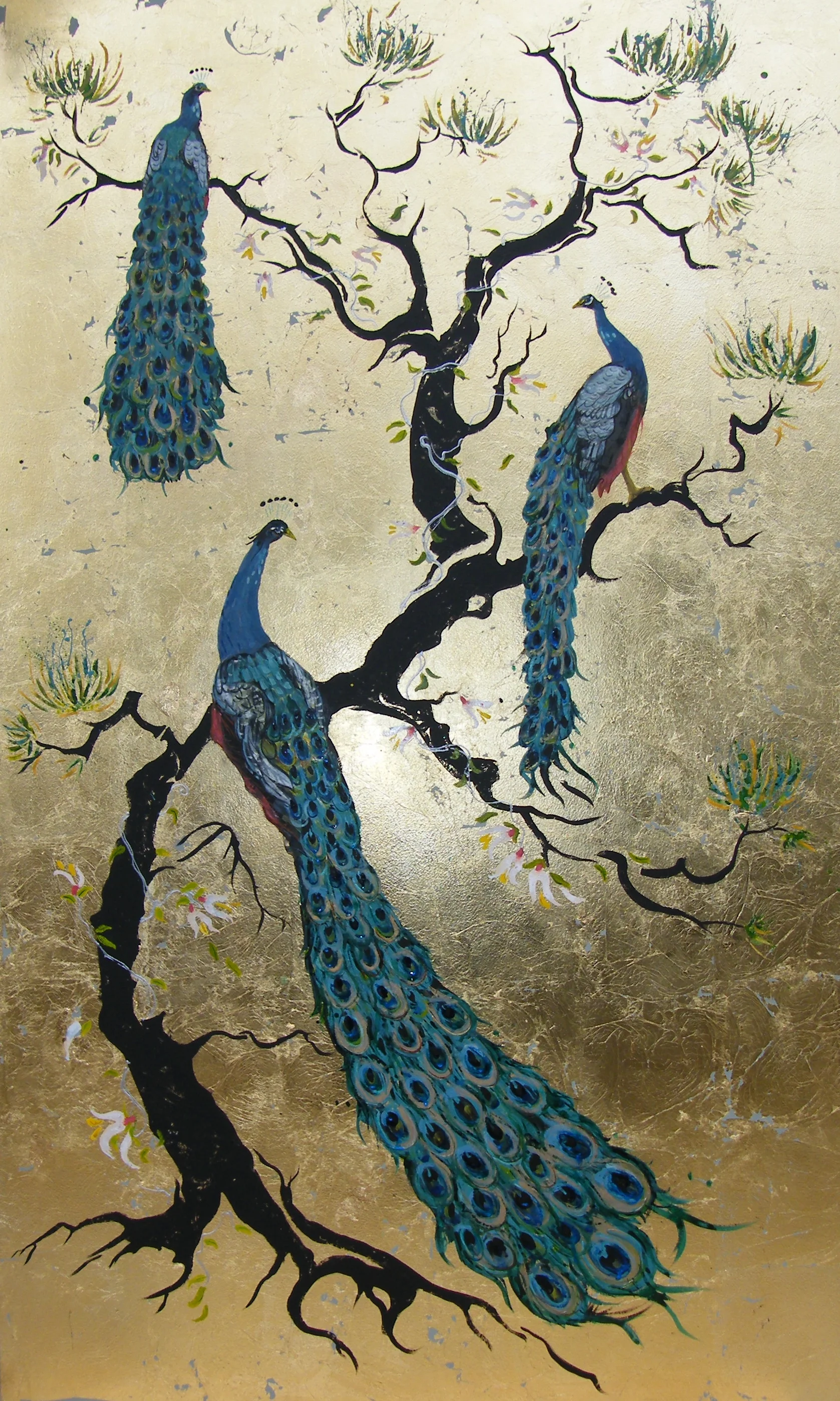 royal peacocks in oine.JPG