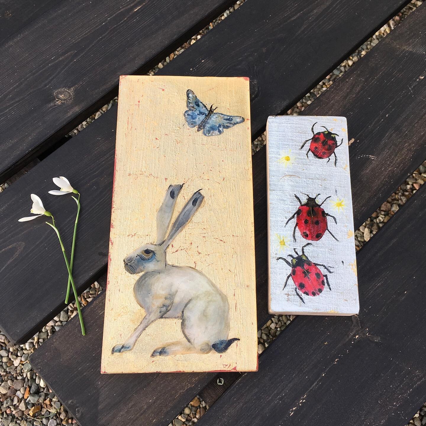 Sunday special 
Message me for details

 #harelovers #ladybirdlovers #paintingsofinstagram #artforsalebyartist #loveart #picturetime #butterfly #insectlovers #insectillustration