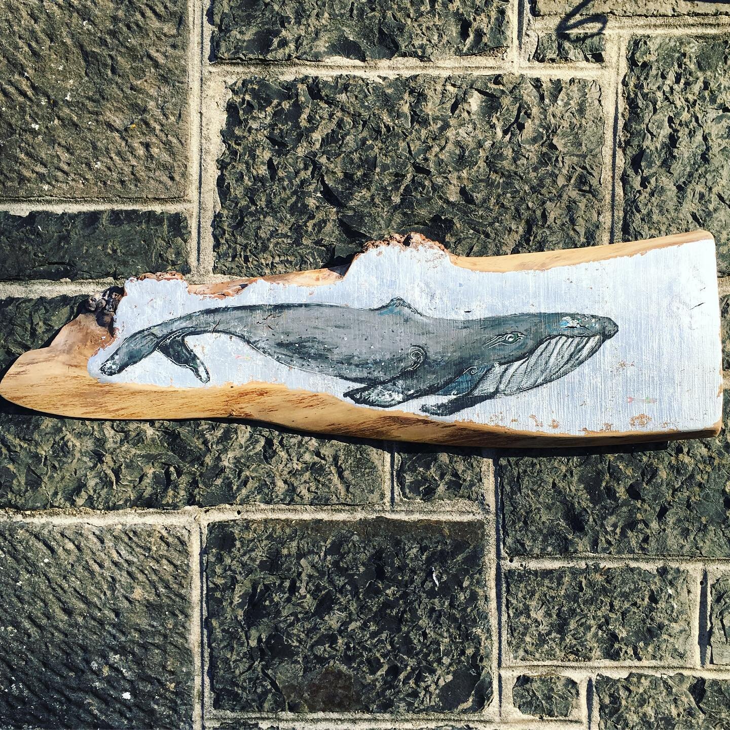 Large Humpback whale on wiggly wych elm plank 
This one is now available at a super lovely price 

#wychwood  #wych #elm #whale #humpbackwhale #humpbackwhales #whalewatching #whaleart #whalepainting #painting #silverleaf #art #paintingsforsale #paint
