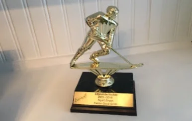 An award proudly displayed in our house!