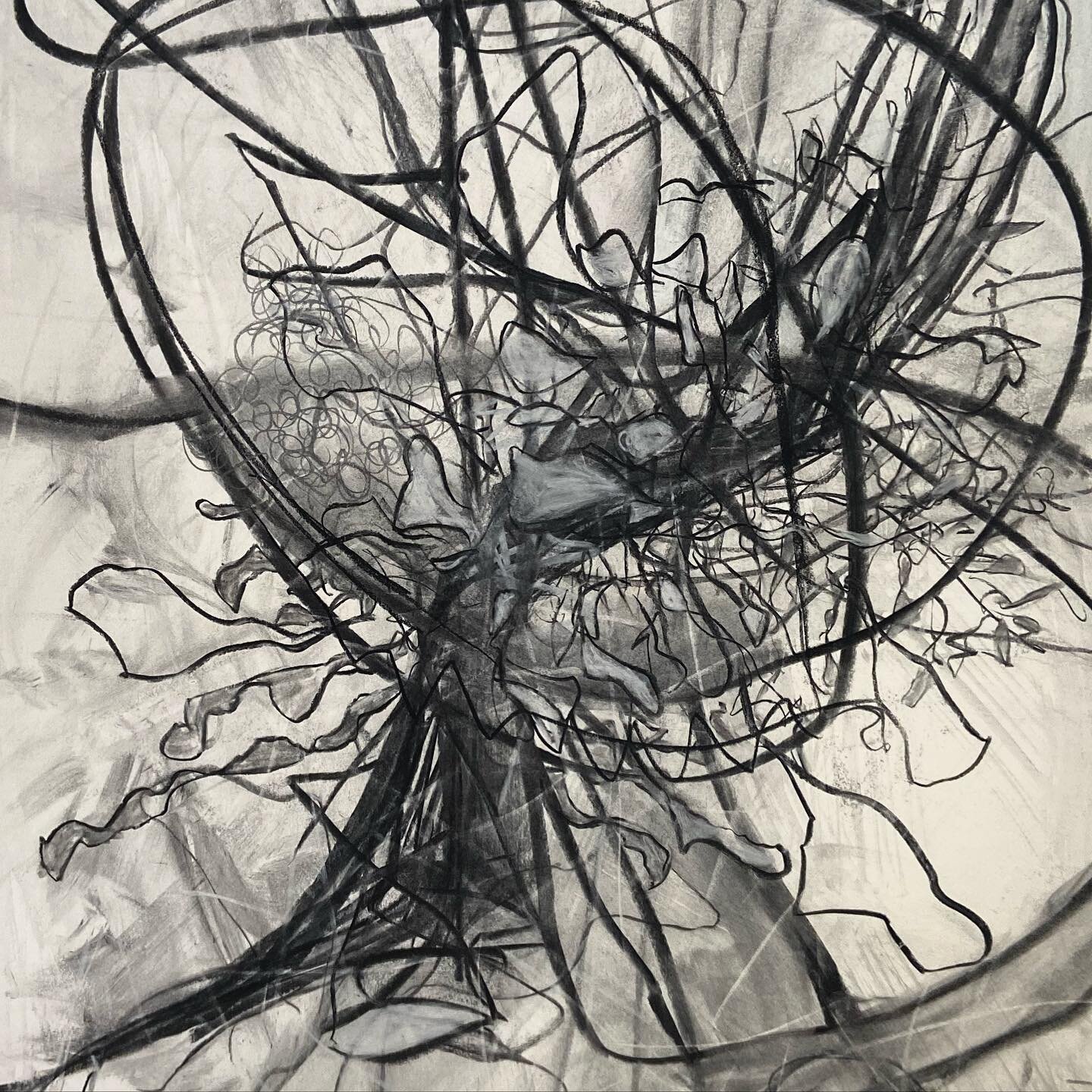 Reigniting my love for charcoal this week. Love how fast and messy and layered it can be. #charcoaldrawing #abstractdrawing #coloradoartist