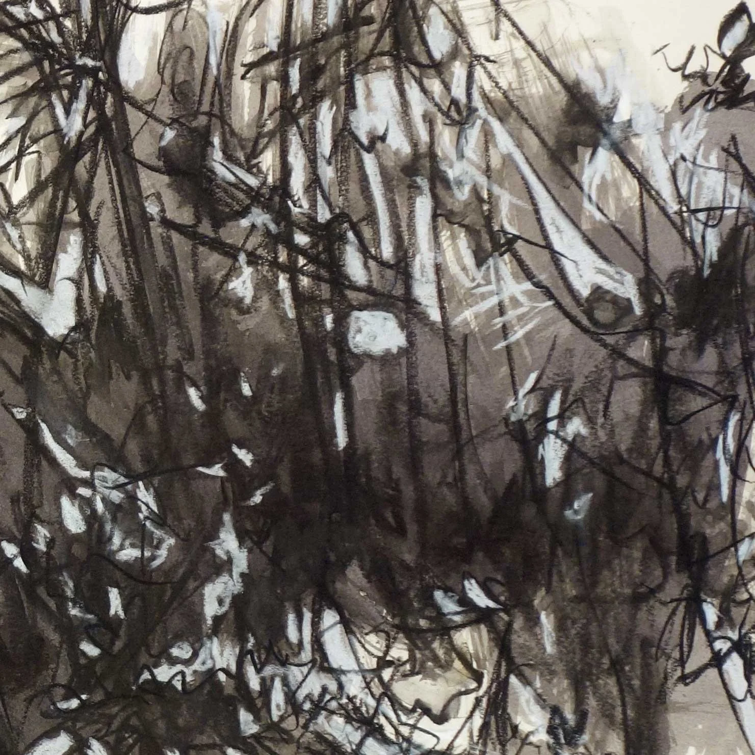 SqSchmidt-TheProgression-Detail2.jpg