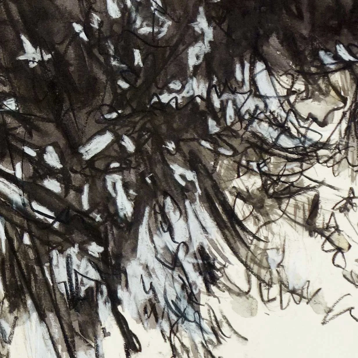 SqSchmidt-TheProgression-Detail.jpg