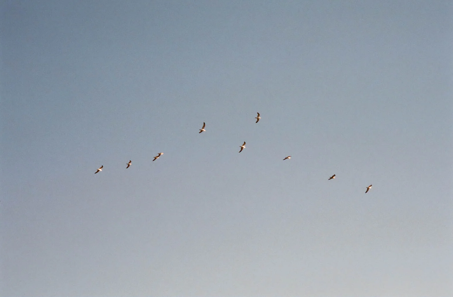 20150723-10460016.jpg