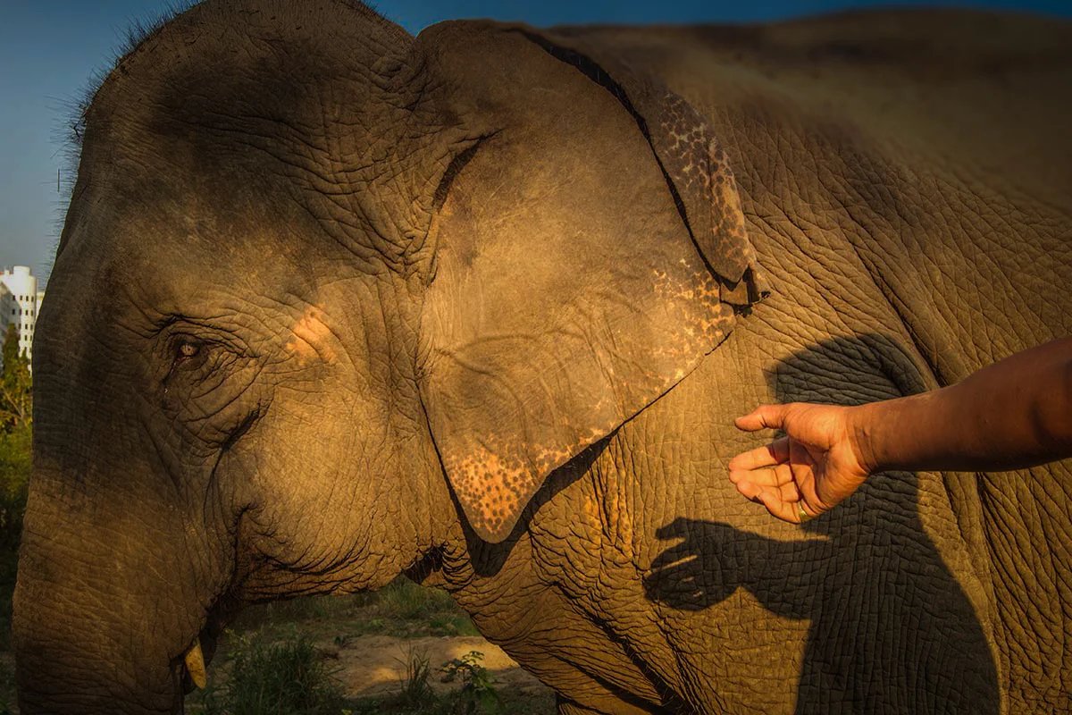 web-0369 vignette.jpg