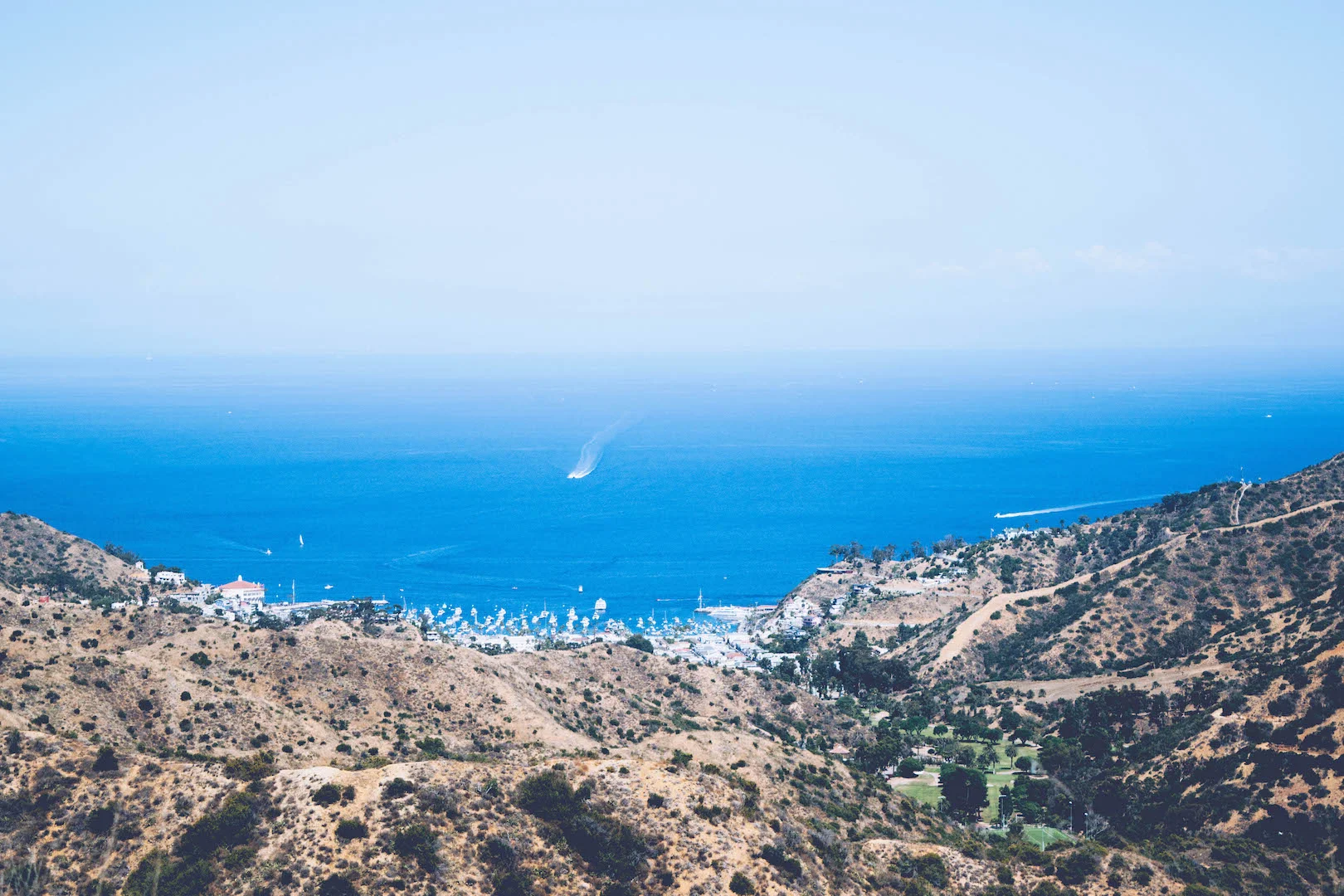 emilymeiliu_Catalina Island_Garden to Sky_2.jpg