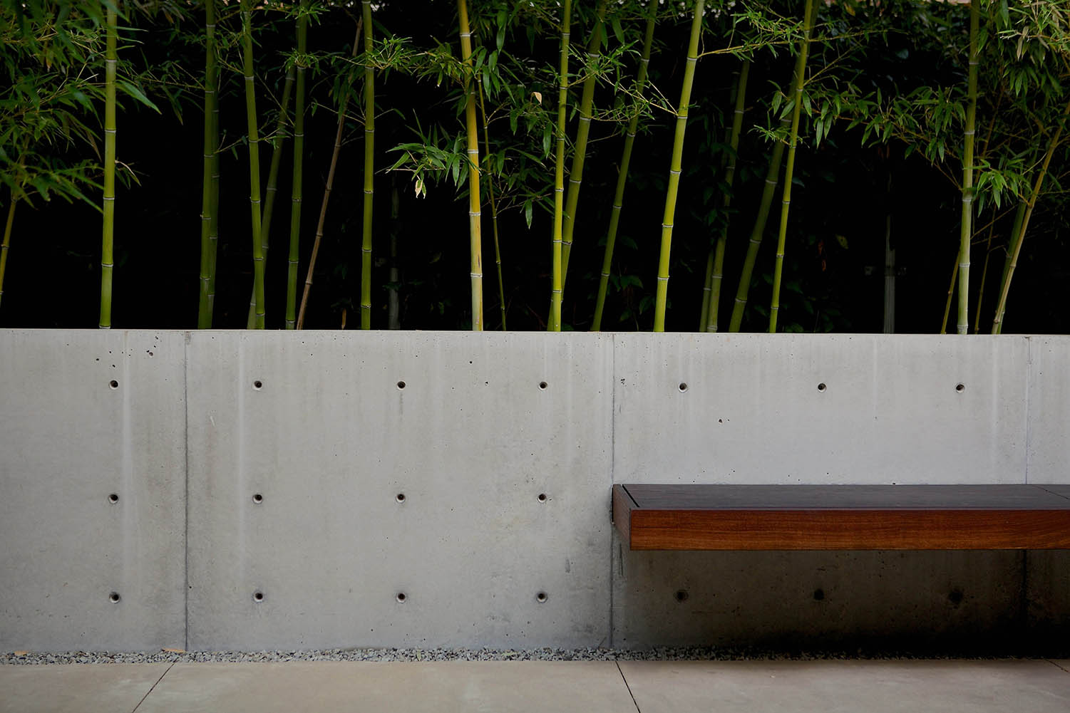 1001h_ACV_9459 300 dpi_2048.jpg