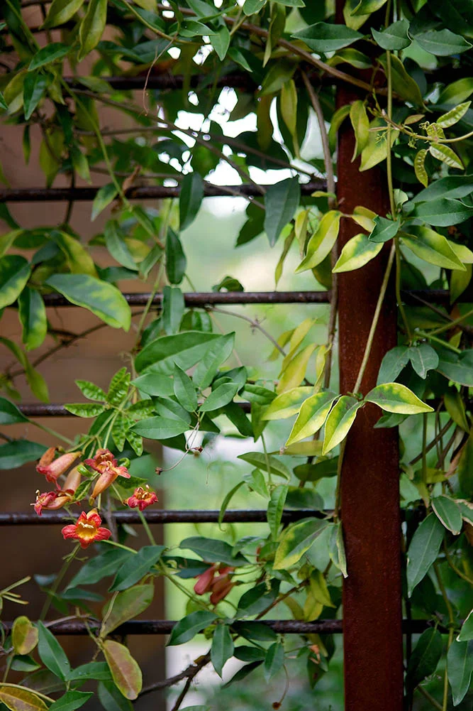 1001h_ACV_9507 300 dpi.jpg