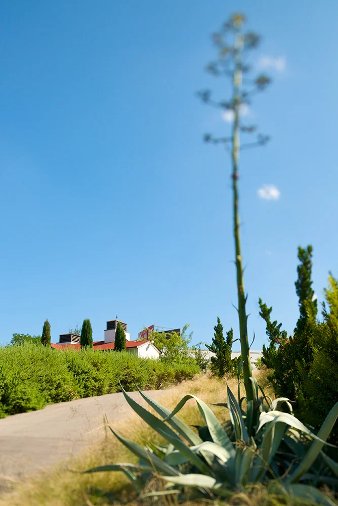 1001h_595-06.jpg