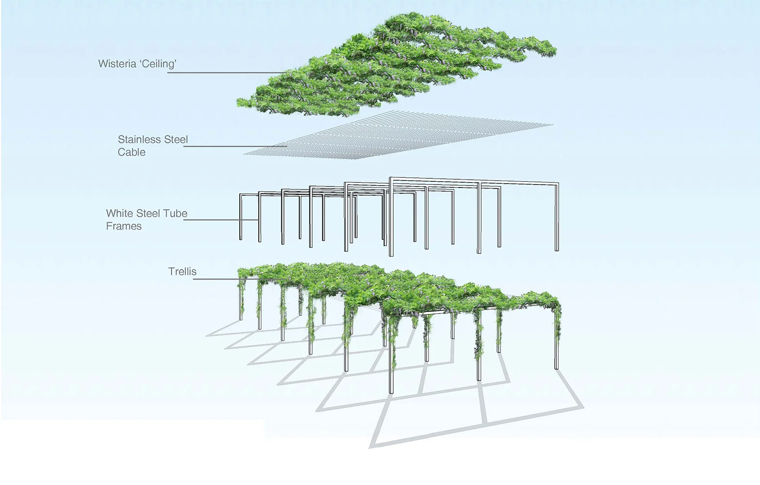 DMA Trellis_1001ht_2048.jpg