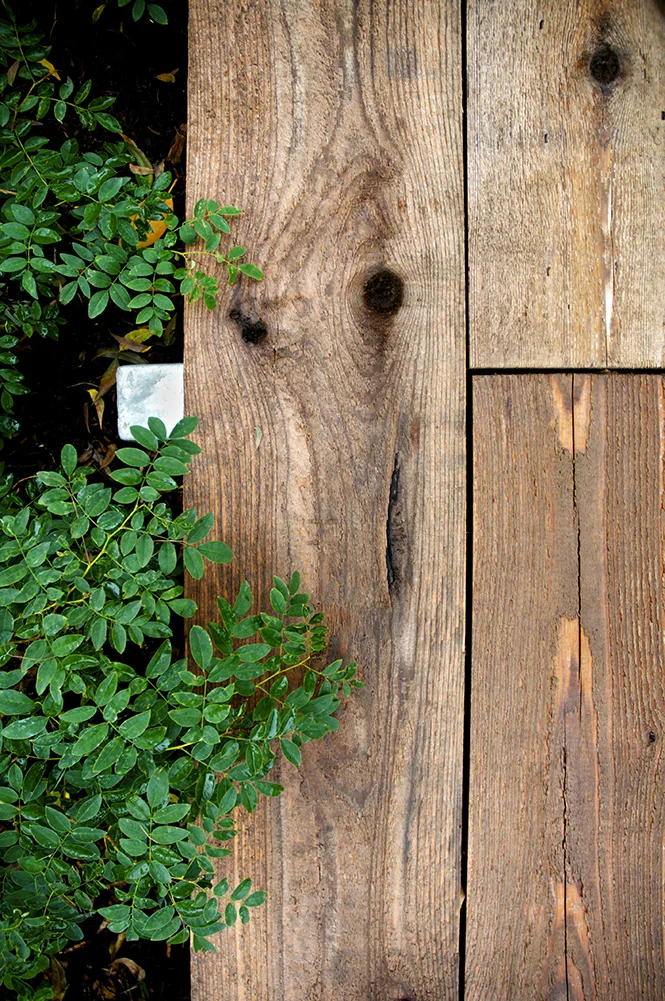 DSC_4201.jpg
