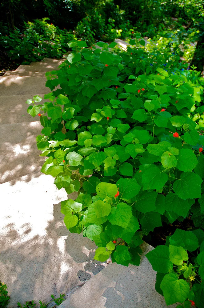 1001h_541-11 300 dpi - Version 2.jpg