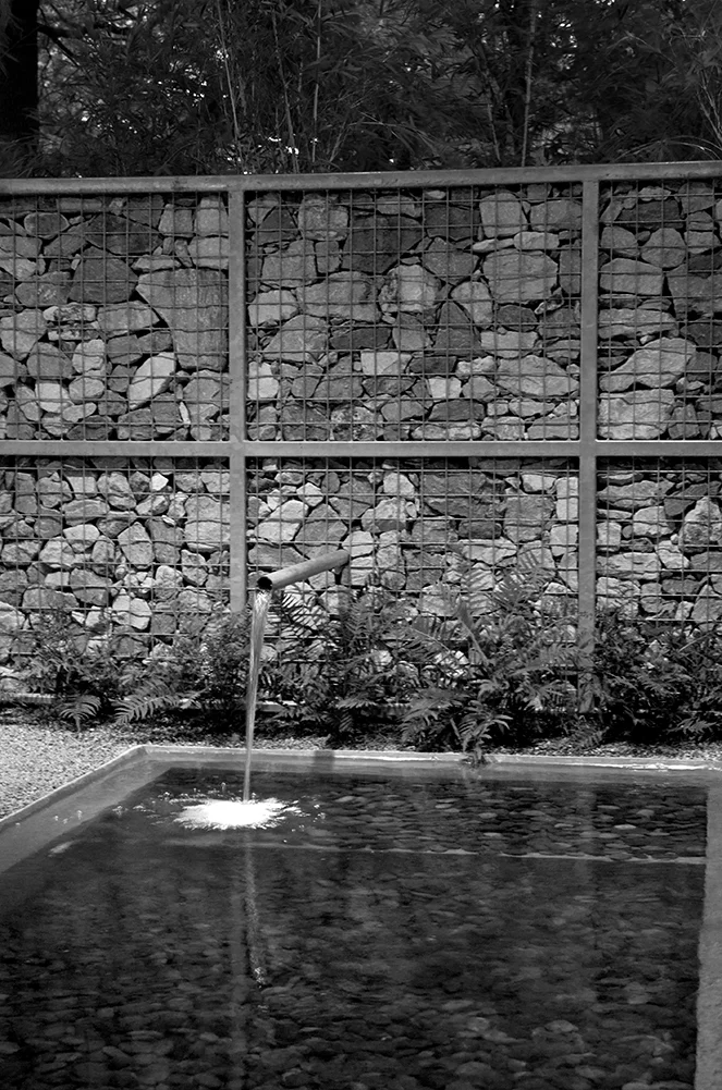 DSC_4250-BW_1001ht.jpg