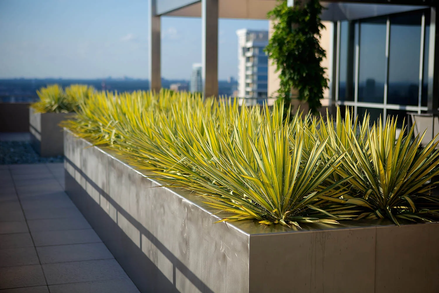 1001h_ACV_8220 300 dpi_2048.jpg