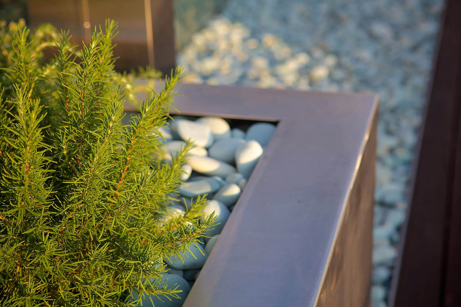 1001h_ACV_8788 300 dpi_2048.jpg