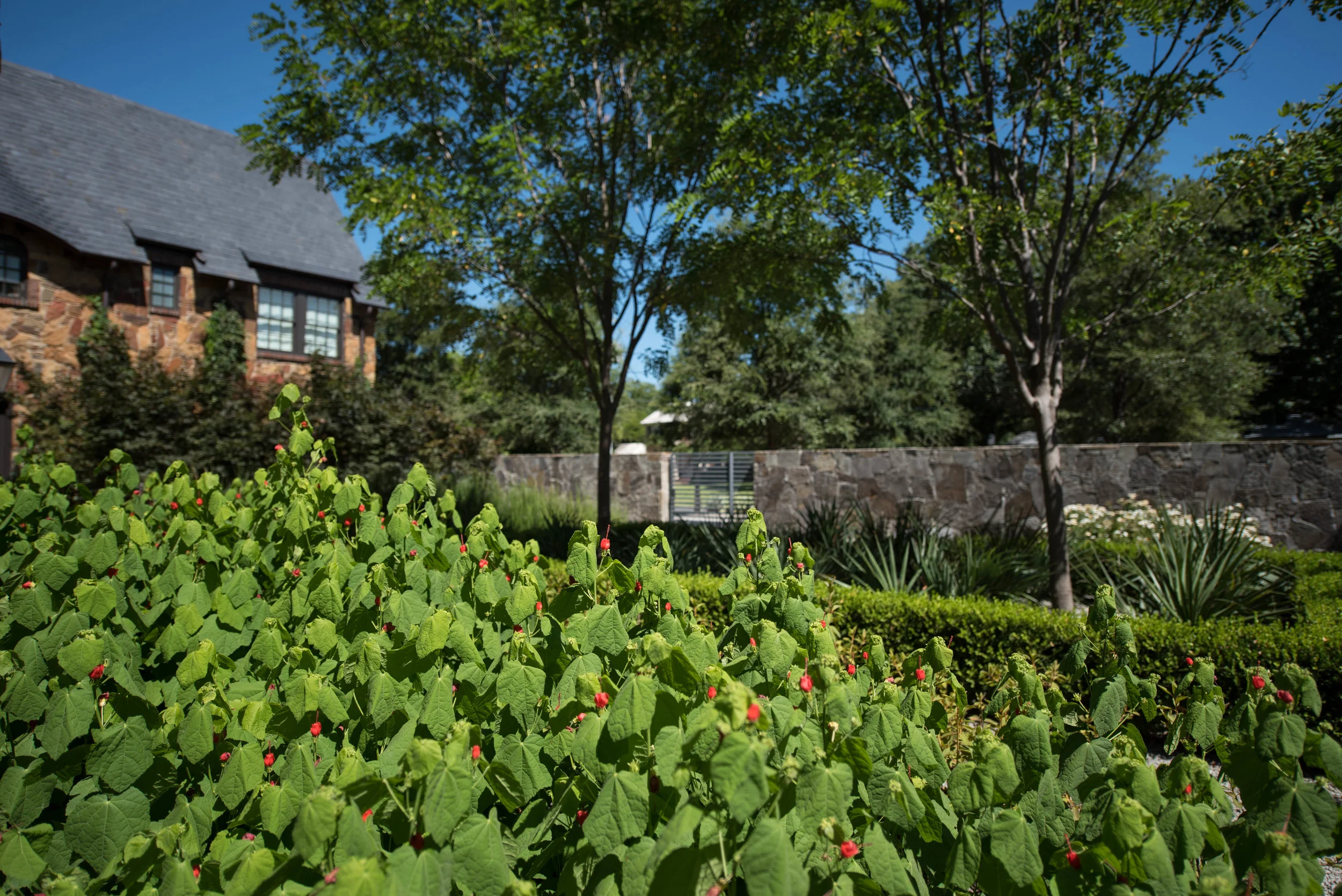 DSC_2208-Edit.jpg