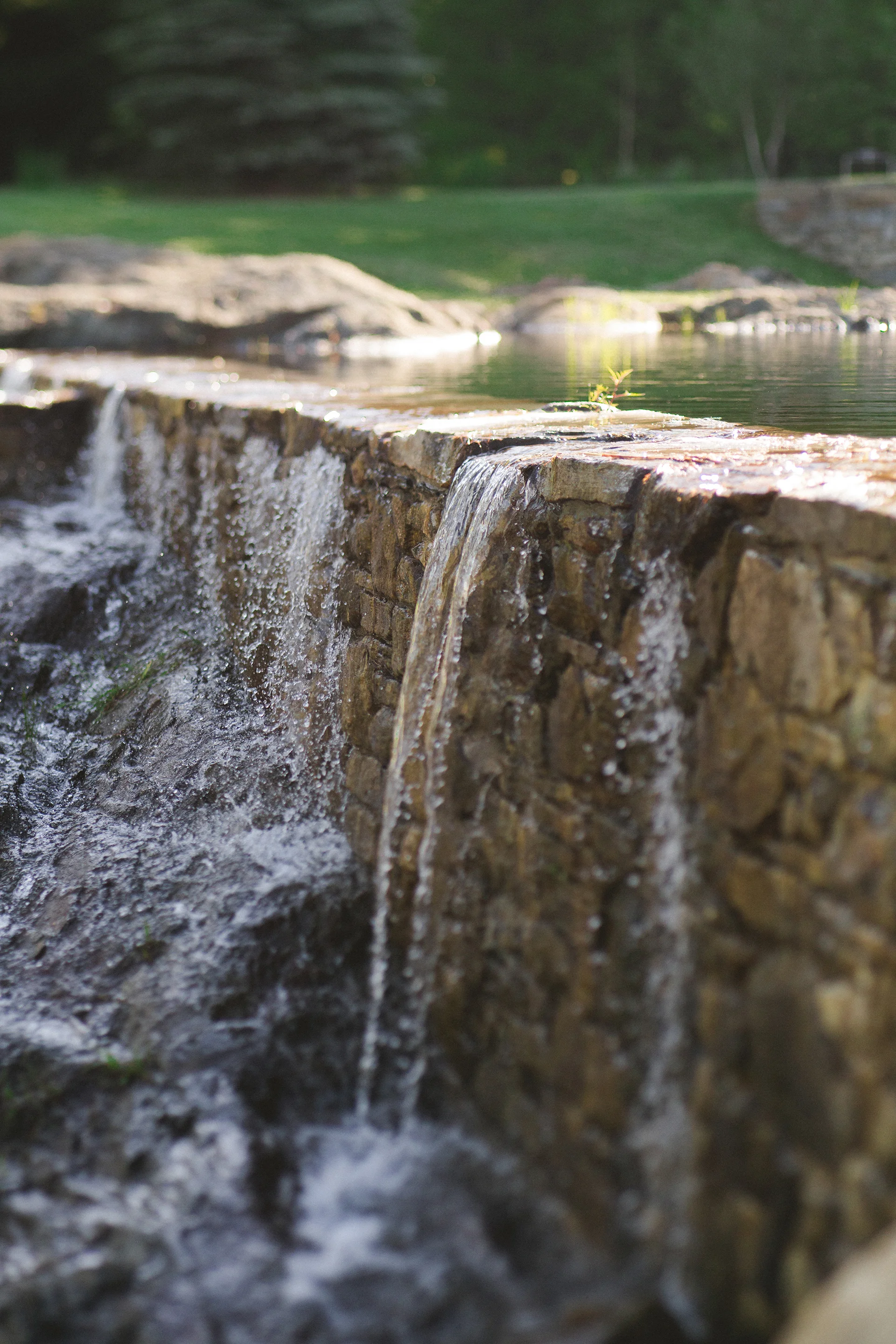 HDG_IMG_5231-Edit-10.jpg