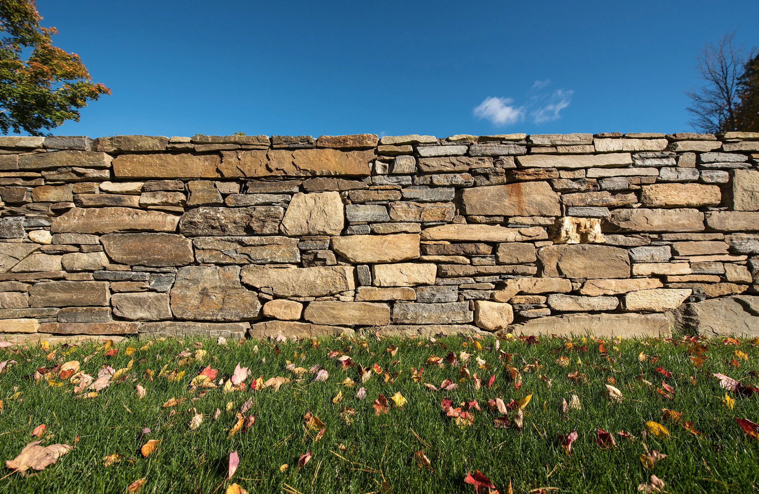 HDG_IMG_5231-Edit-12.jpg