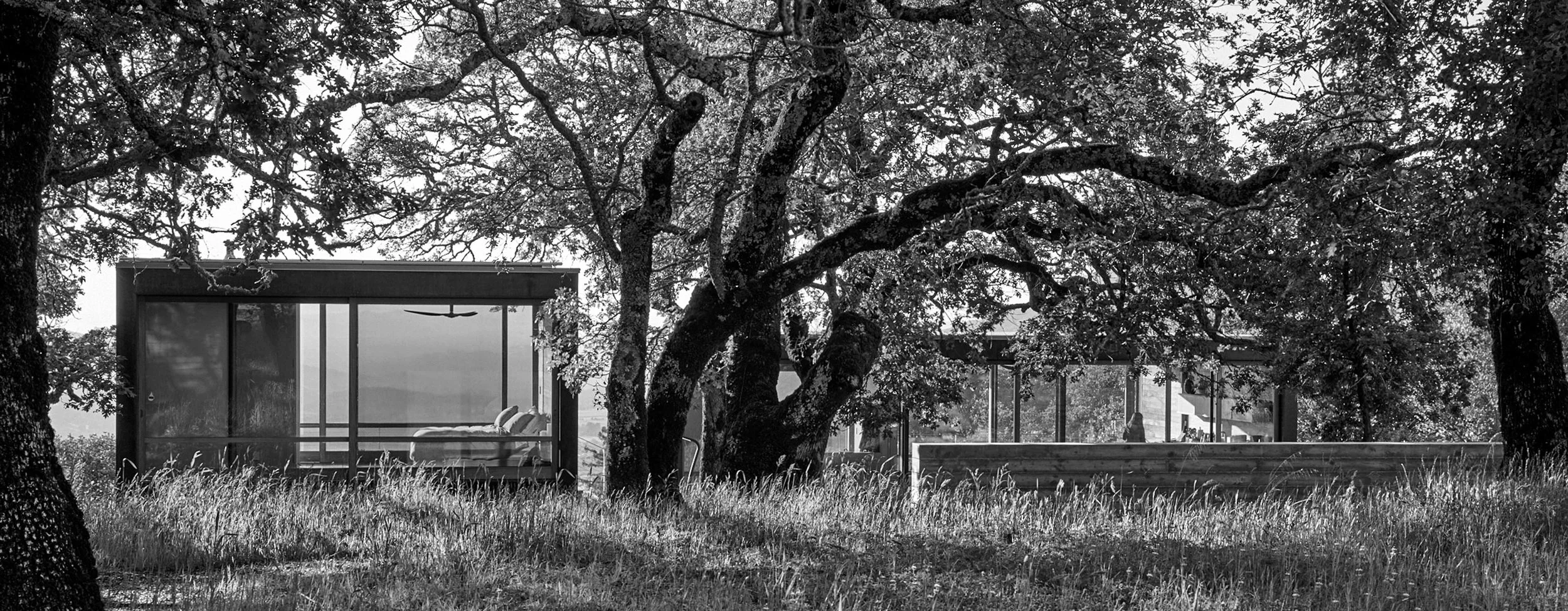 180526_DHocker_SonomaMtnRd_BJSiegel_0639cropbw.jpg