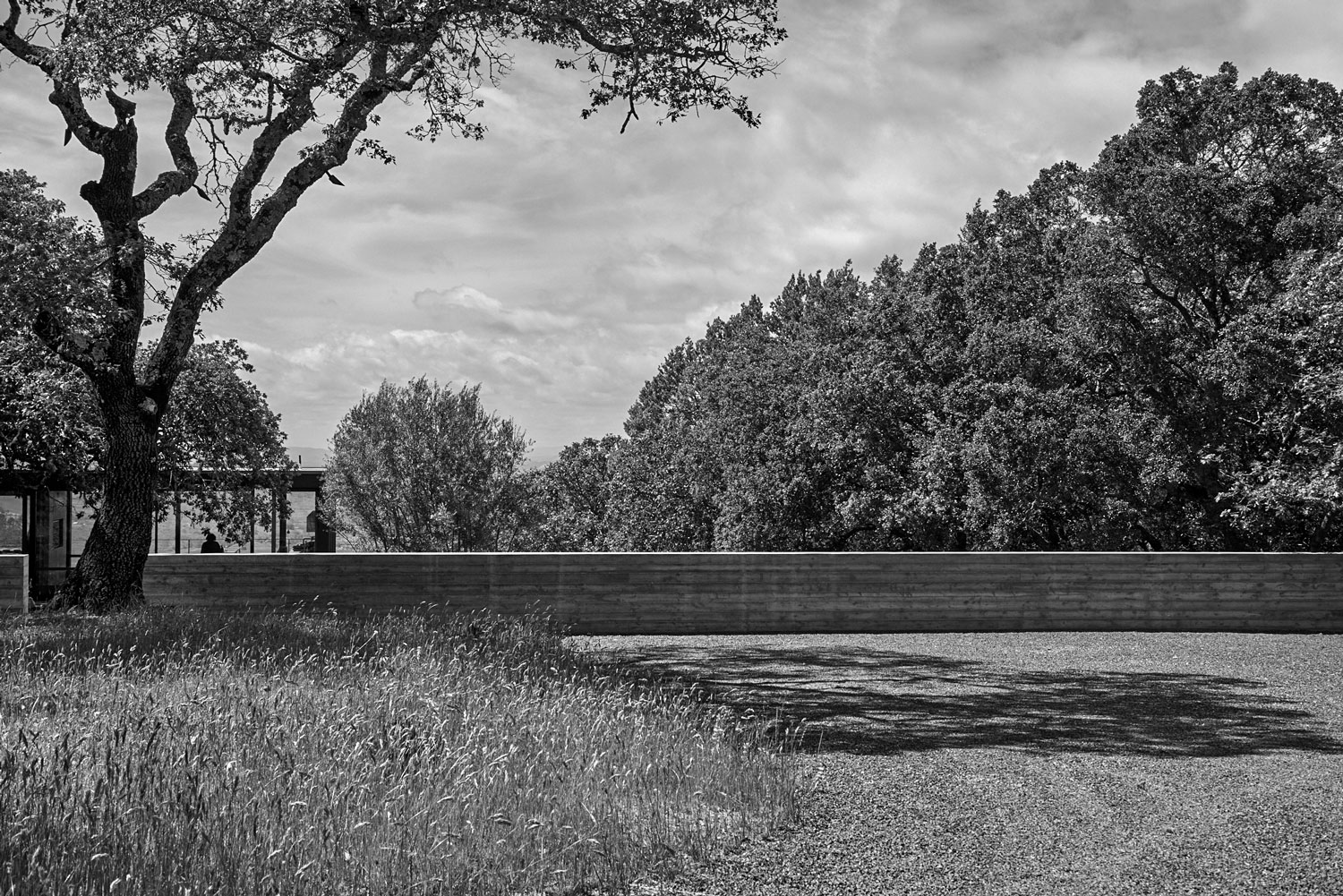 180526_DHocker_SonomaMtnRd_BJSiegel_2592bw.jpg