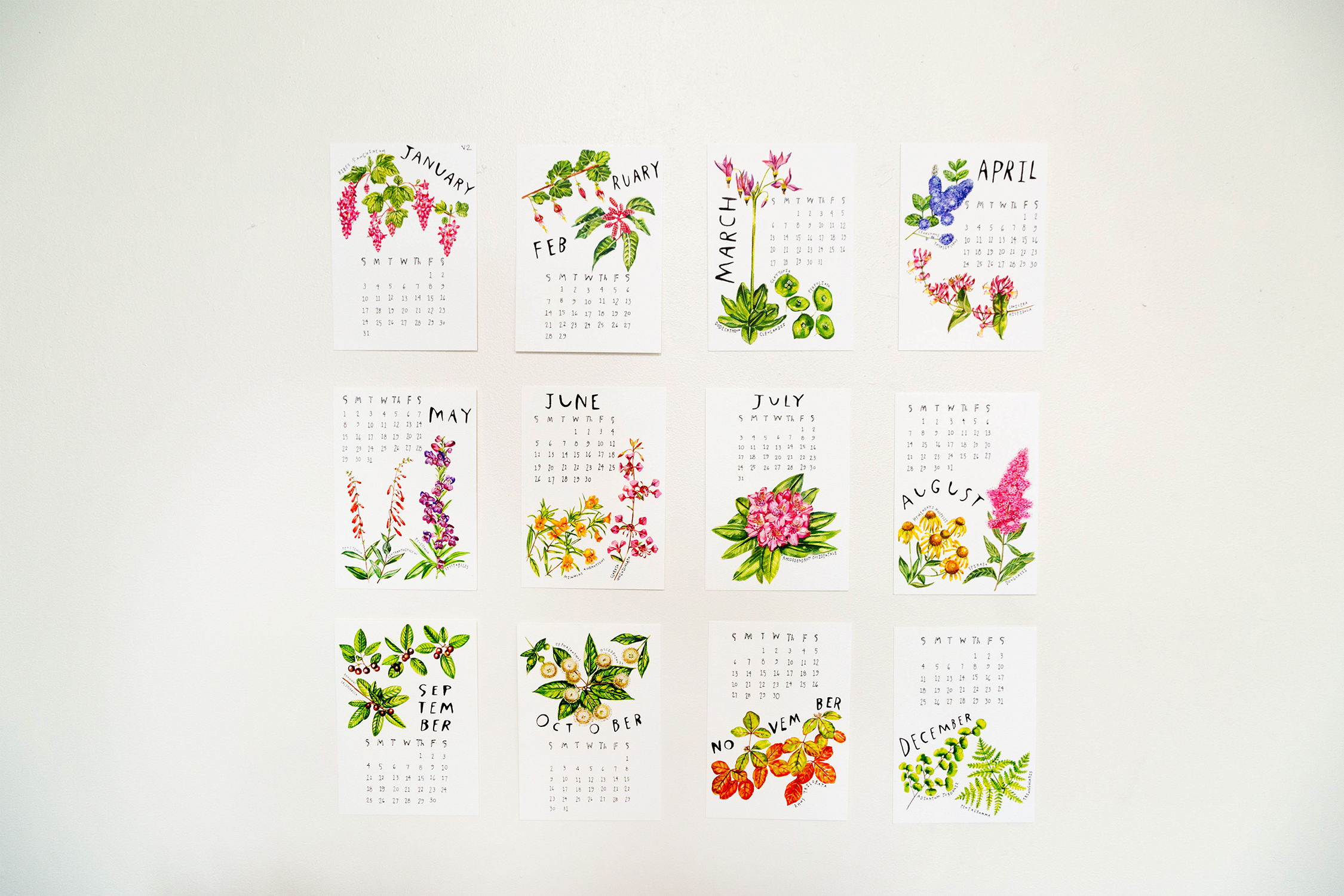 plants-calendar-1.jpg